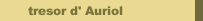 tresor d' Auriol