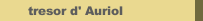 tresor d' Auriol